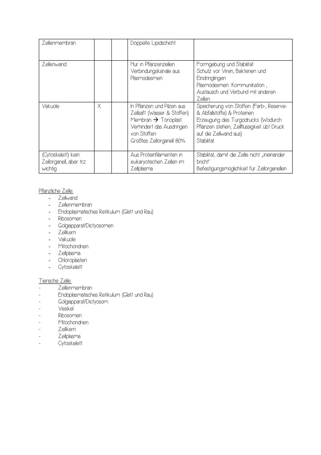Zellorganellen
Zellkern
Golgiapparat / Dictyosomen
Chloroplasten
Mitochondrien
Raues Endoplasmatisches Retikulum
Glattes Endoplasmatisches R