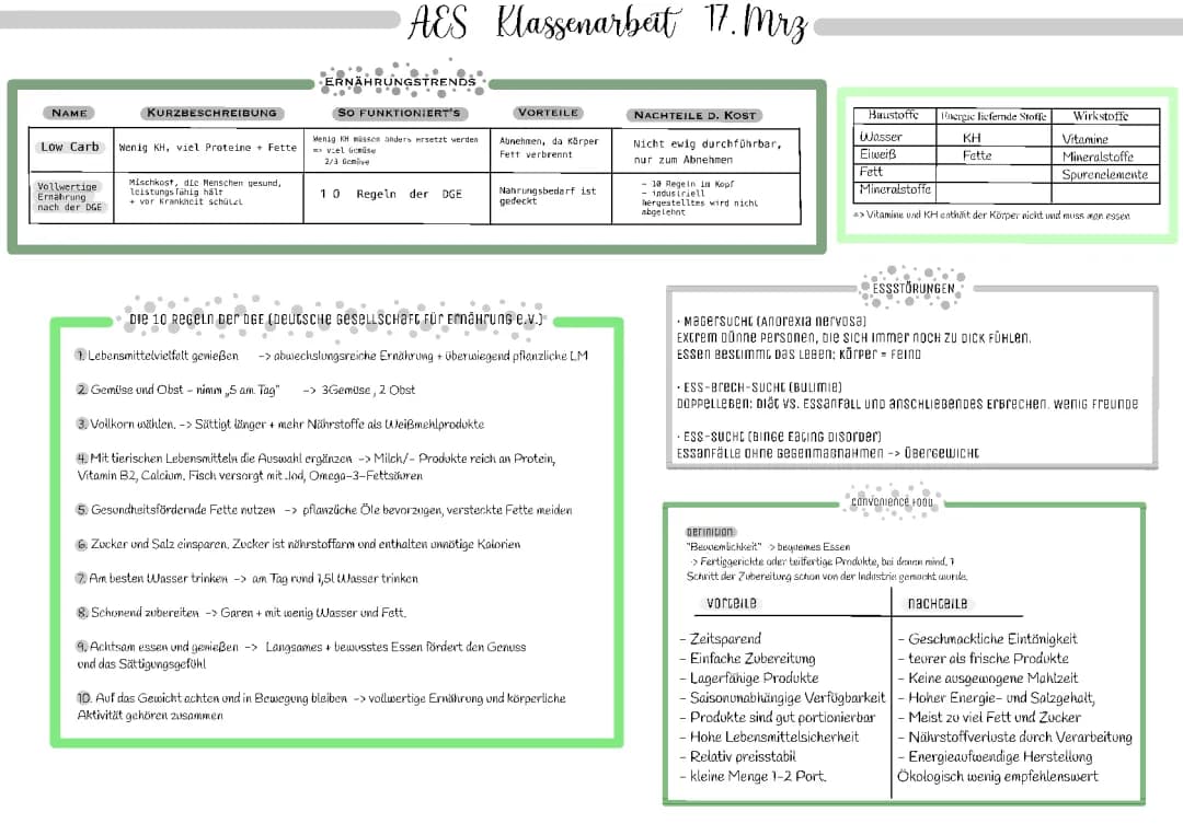 AES Klasse 7-10: 10 Regeln der DGE & Mikroplastik - Klassenarbeit und Lernblatt
