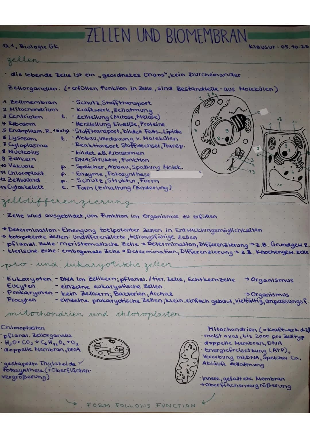 Zellen, Biomembranen, Transportvorgänge 