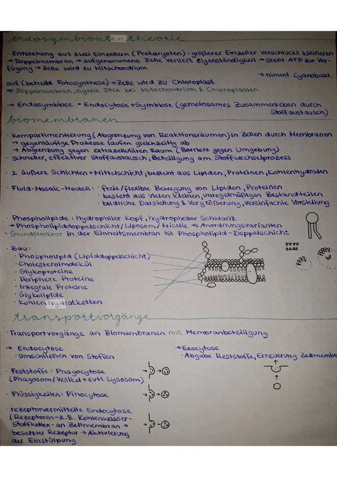 Q1, Biologie GK
zellen
• die lebende Zelle ist ein "geordnetes Chaos", kein Durcheinander
Zellorganellen: (=erfüllen Funktion in Zelle, sind