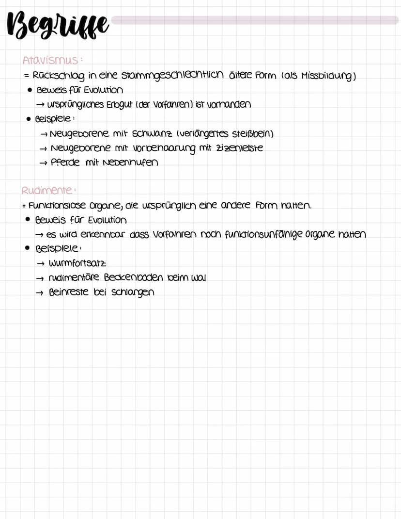 Evolutionstheorie
Lamarkismus: (ist wiederlegt?)
Umweltveränderung
↓
inneres Bedürfnis nach
vervollkommung
bestimmte organe werden
besonders