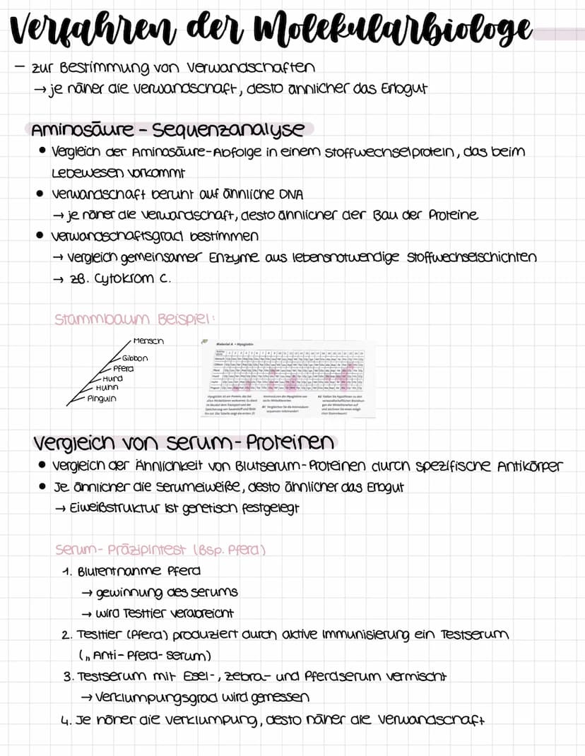Evolutionstheorie
Lamarkismus: (ist wiederlegt?)
Umweltveränderung
↓
inneres Bedürfnis nach
vervollkommung
bestimmte organe werden
besonders