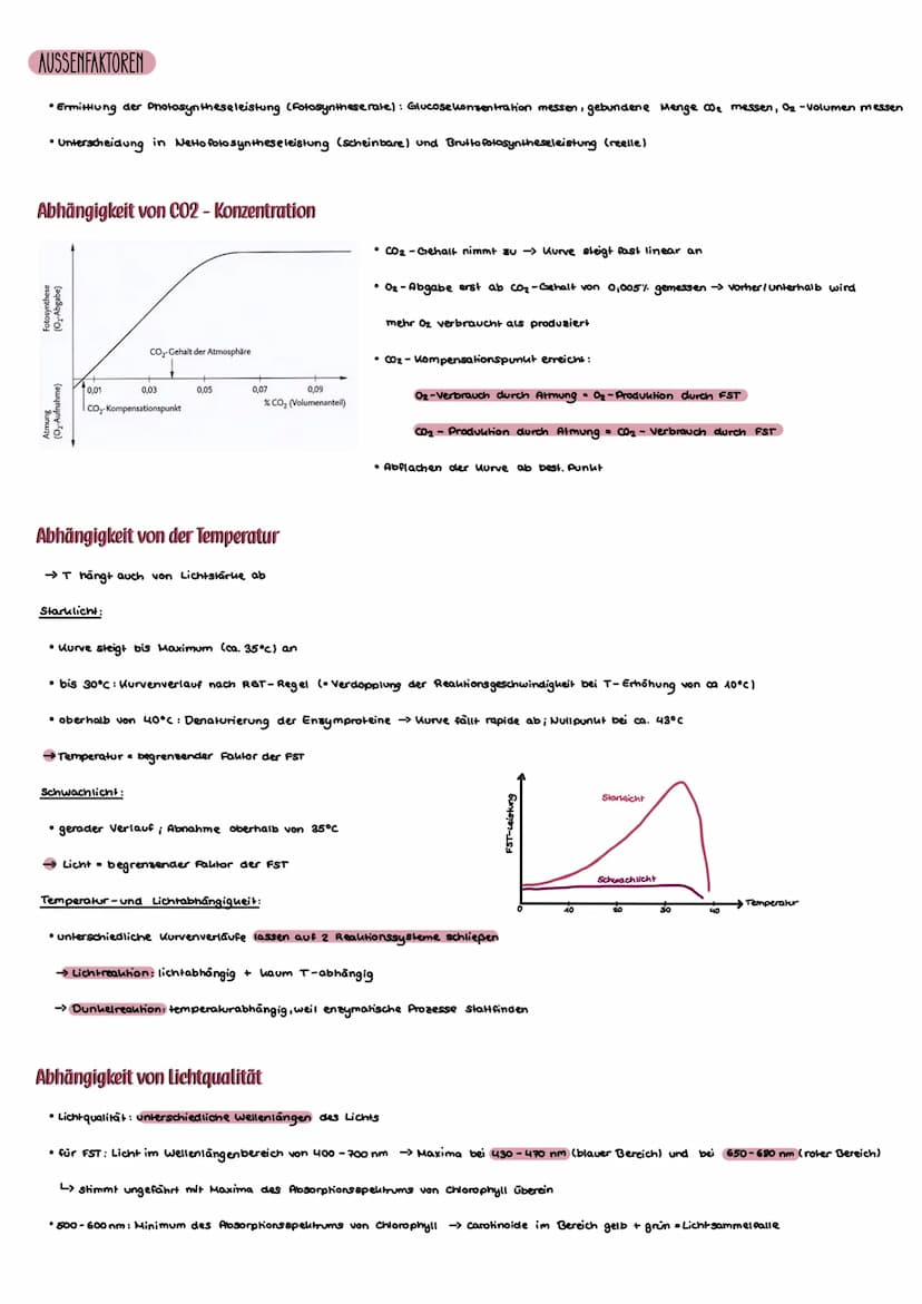 CHLOROPLAST
Bau der Chloroplasten
• innere / äußere Membran
• Thylauoide:
-Einstulpungen der inneren Membran
ins Stroma/ Chloroplasteninnere
