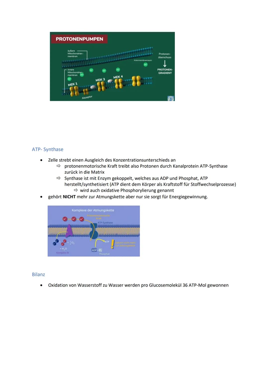 Energiegewinnung
Stoffwechsel und Energiebereitstellung
Stoffwechsel (=Metabolismus) bezeichnet alle chemischen und physikalischen Vorgänge
