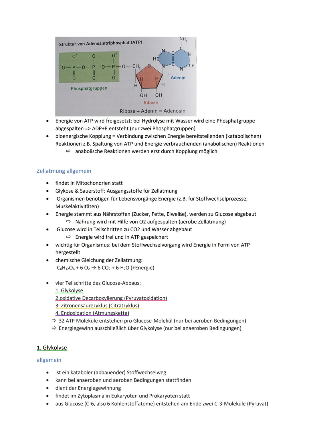 Energiegewinnung
Stoffwechsel und Energiebereitstellung
Stoffwechsel (=Metabolismus) bezeichnet alle chemischen und physikalischen Vorgänge
