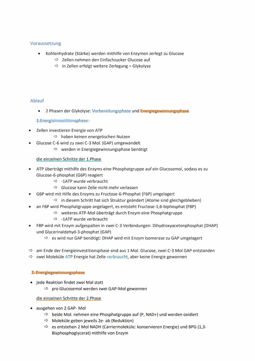 Energiegewinnung
Stoffwechsel und Energiebereitstellung
Stoffwechsel (=Metabolismus) bezeichnet alle chemischen und physikalischen Vorgänge
