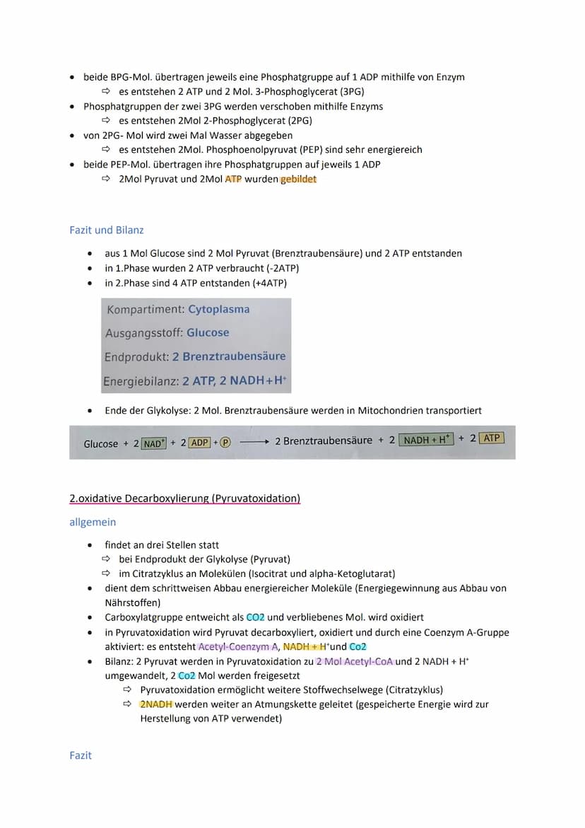 Energiegewinnung
Stoffwechsel und Energiebereitstellung
Stoffwechsel (=Metabolismus) bezeichnet alle chemischen und physikalischen Vorgänge
