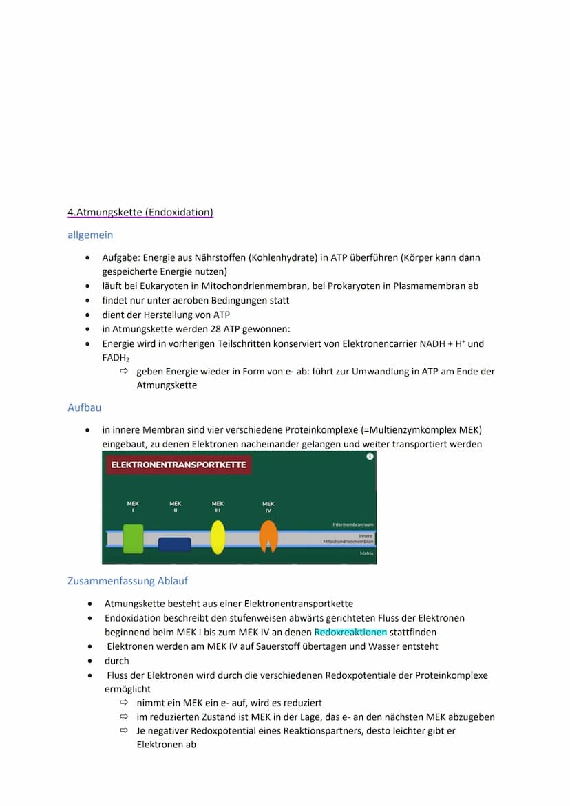 Energiegewinnung
Stoffwechsel und Energiebereitstellung
Stoffwechsel (=Metabolismus) bezeichnet alle chemischen und physikalischen Vorgänge
