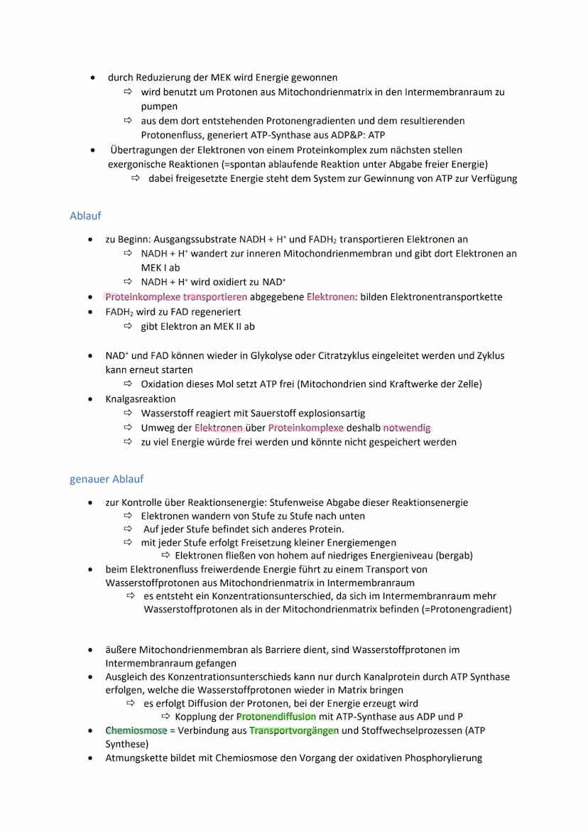 Energiegewinnung
Stoffwechsel und Energiebereitstellung
Stoffwechsel (=Metabolismus) bezeichnet alle chemischen und physikalischen Vorgänge
