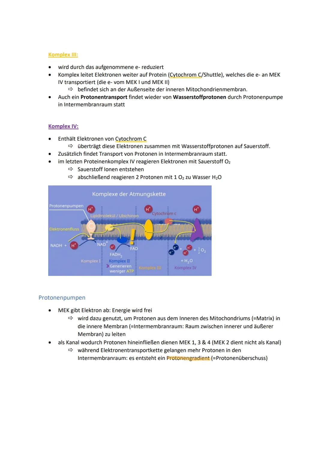 Energiegewinnung
Stoffwechsel und Energiebereitstellung
Stoffwechsel (=Metabolismus) bezeichnet alle chemischen und physikalischen Vorgänge
