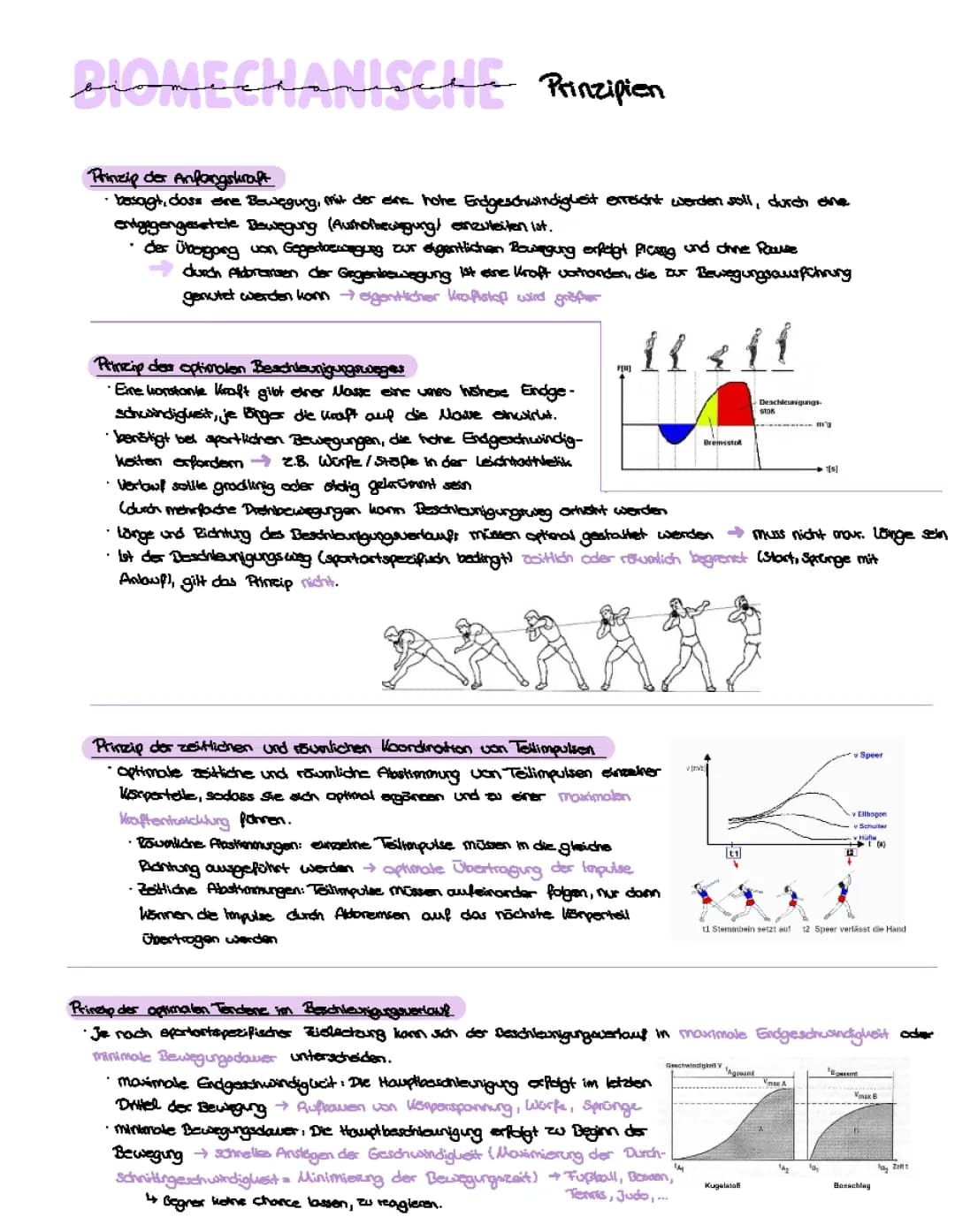 Biomechanische Prinzipien 