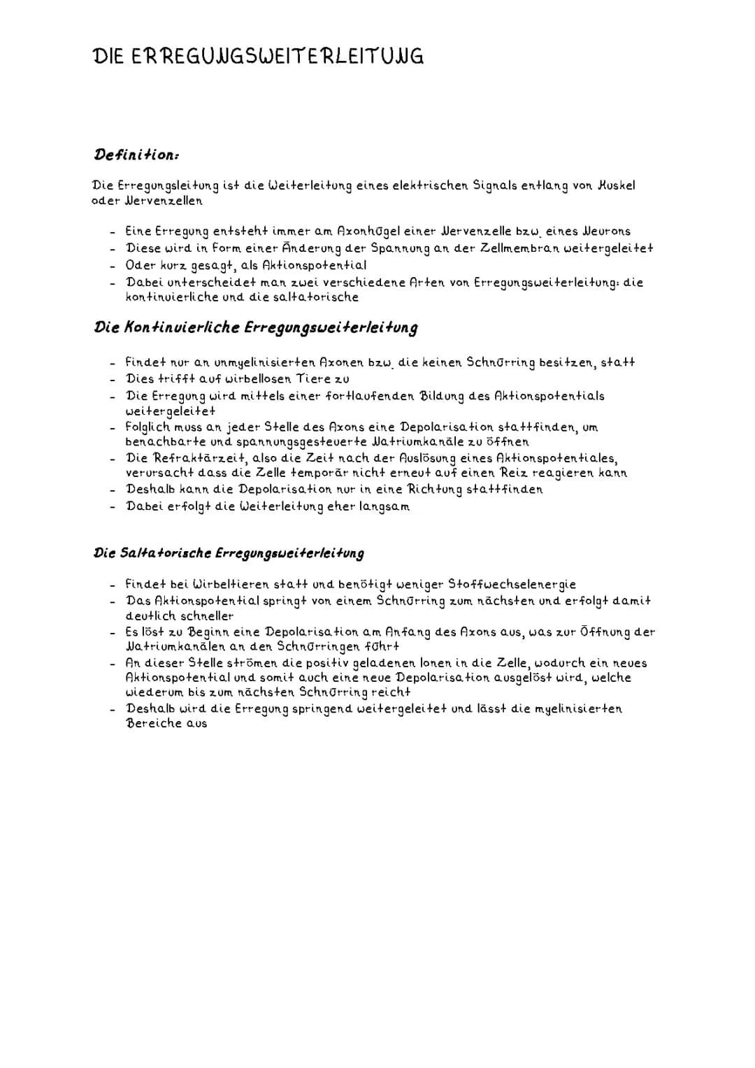 Erregungsleitung 