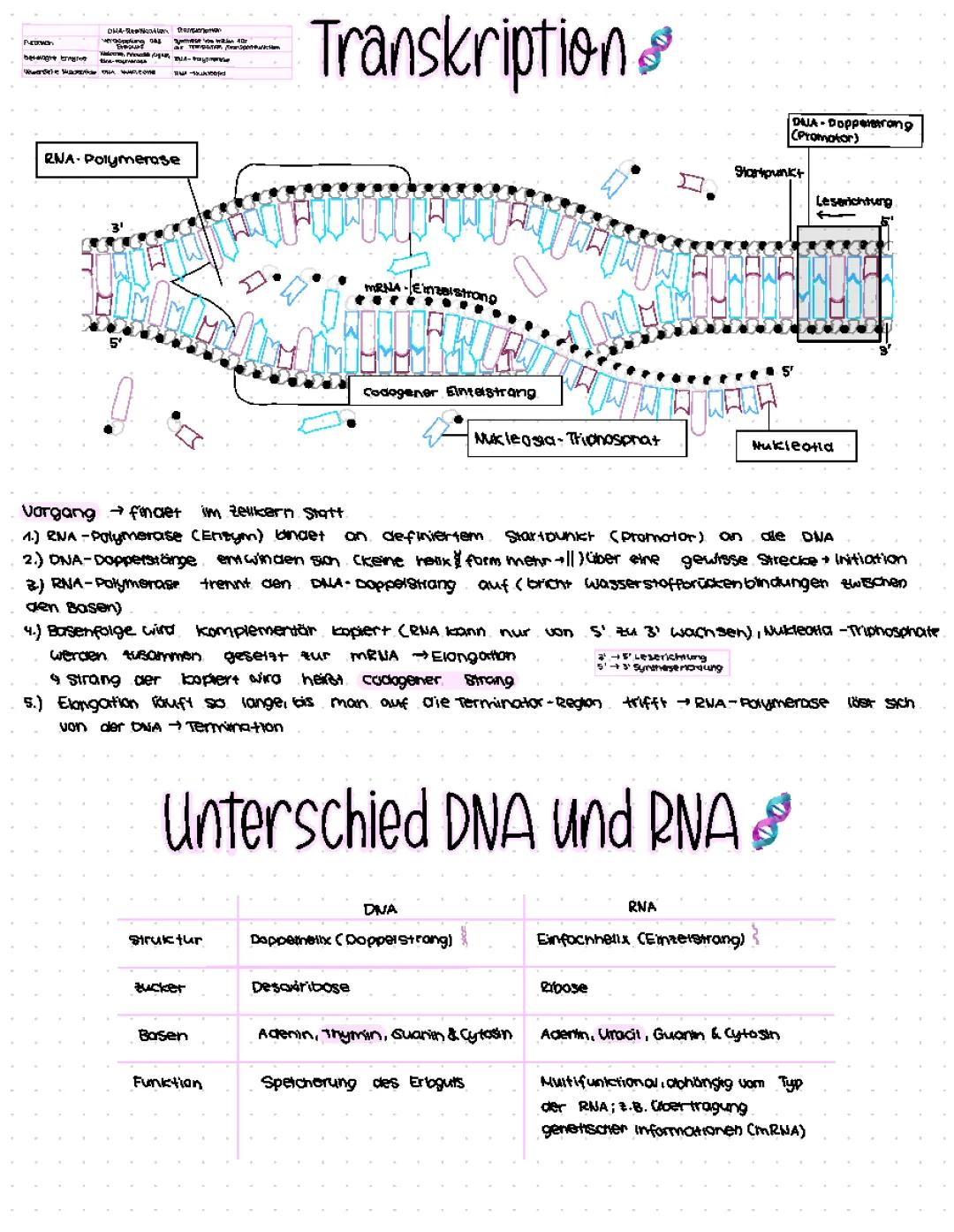 DNA
