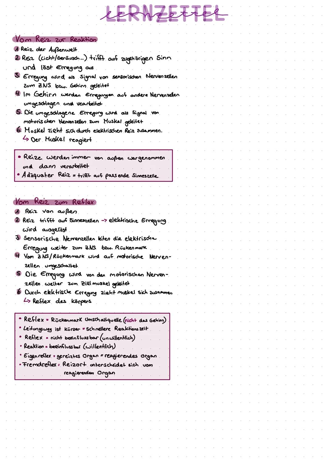 # LERNZETTEL

## Vom Reiz zur Reaktion

1 Reiz der Außenwelt.

2. Reiz (Licht/Geräusch...) trifft auf zugehörigen Sinn
und löst Erregung aus