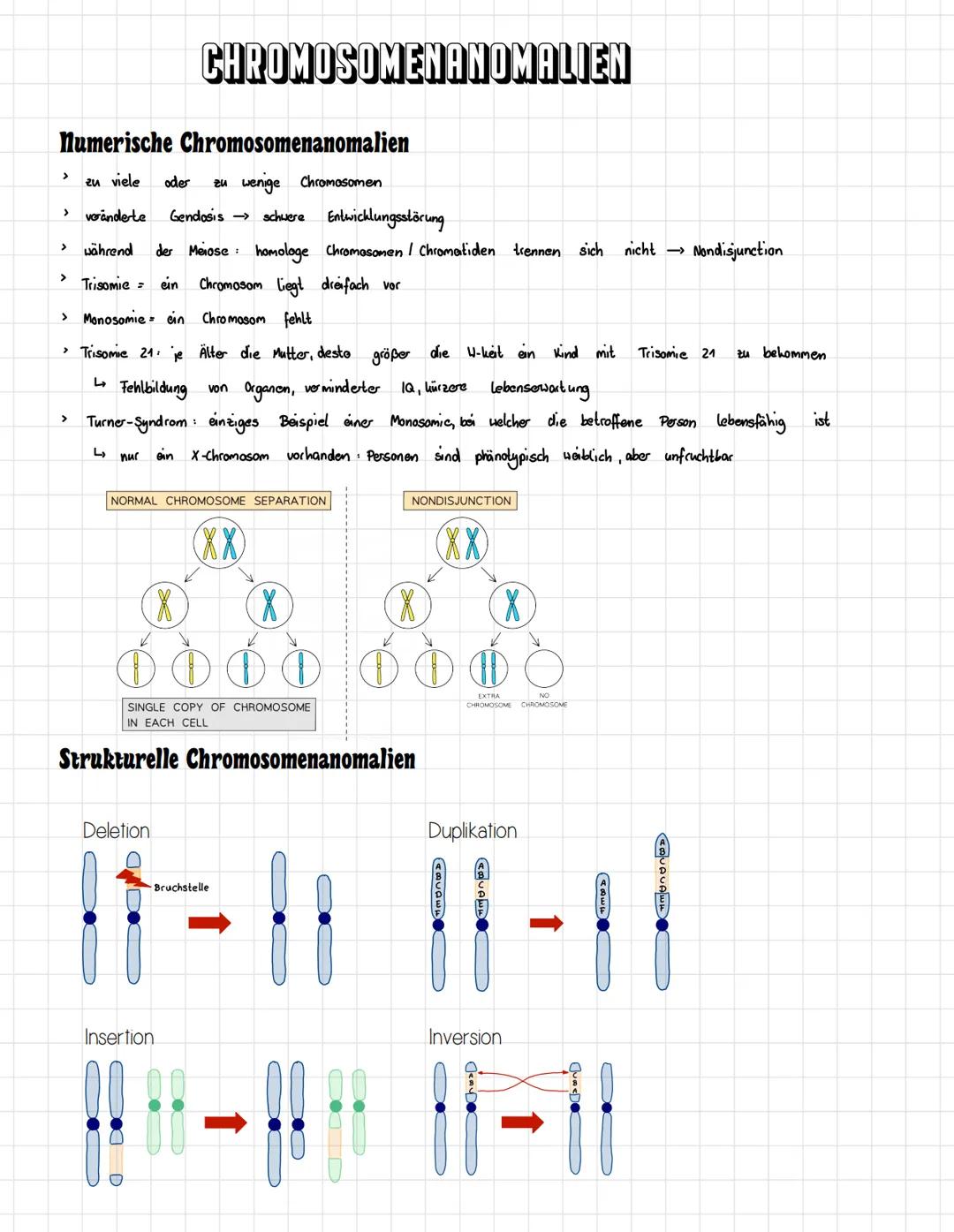 □□□ o o o
oooo
E
EO
oooooo
oooooo
00
00000000
o o o o o o
oooooooo
oooo o o o o
0
INHALTSVERZEICHNIS
Chromosomen Aufbau
Zellzyklus
Mitose
Me