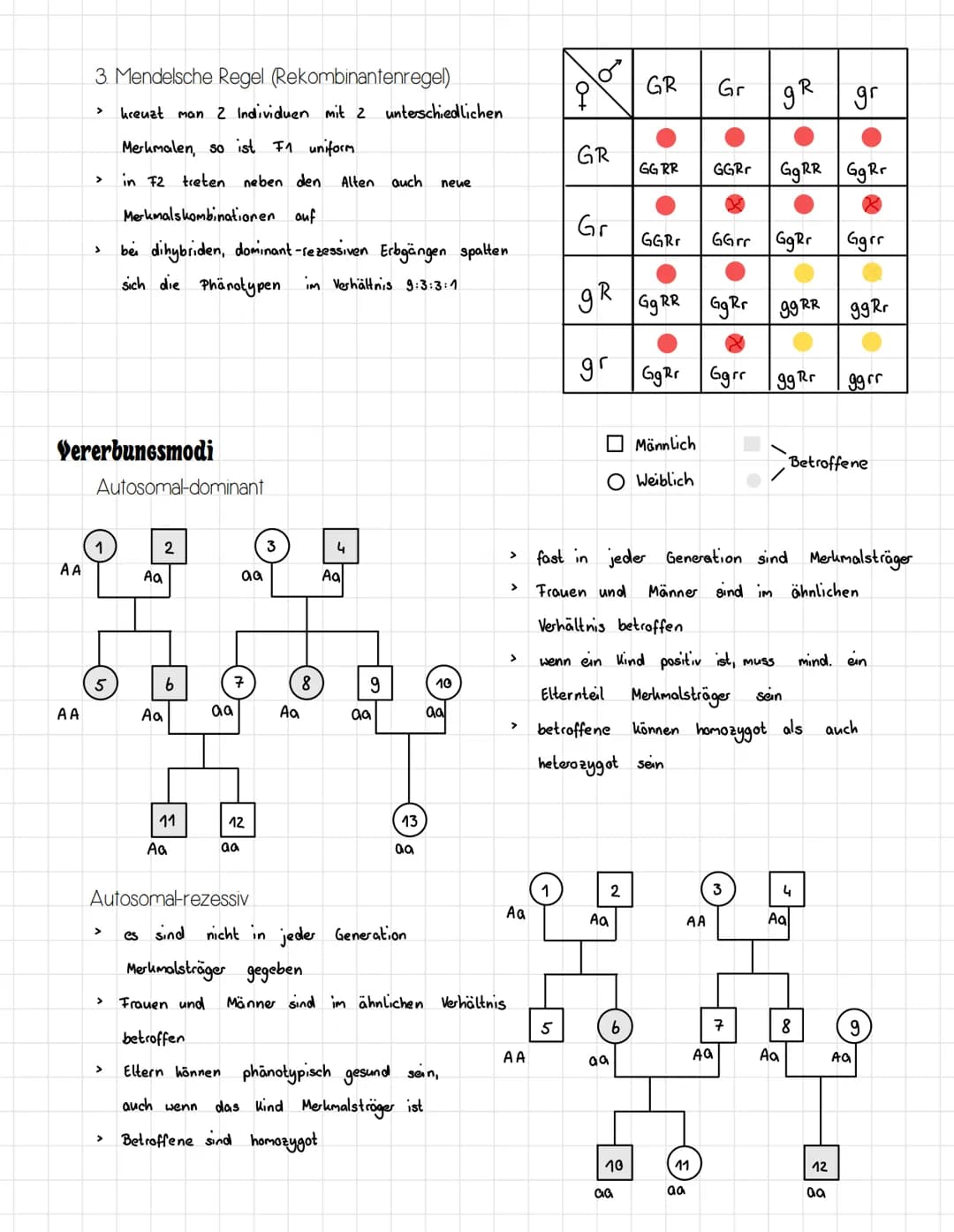 □□□ o o o
oooo
E
EO
oooooo
oooooo
00
00000000
o o o o o o
oooooooo
oooo o o o o
0
INHALTSVERZEICHNIS
Chromosomen Aufbau
Zellzyklus
Mitose
Me