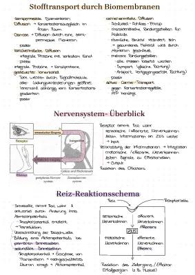 Know Neurobiologie  thumbnail