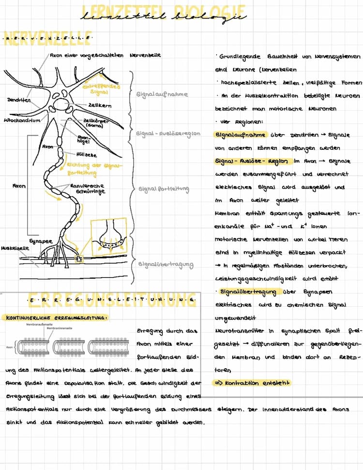 Know Neurobiologie  thumbnail