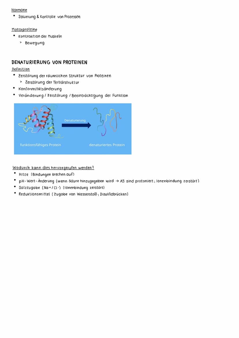 PROTEINE
AUFBAU VON PROTEINEN
Grundstruktur Aminosäure
eine Aminogruppe (NH₂)
• eine Carboxylgruppe (COOH)
●
eine variable Restgruppe (R)
> 