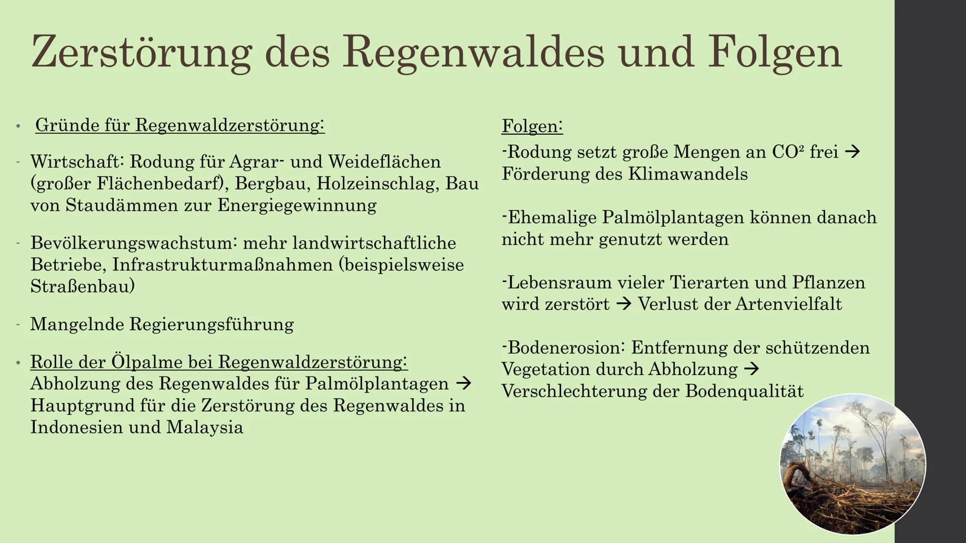 Ölpalmenanbau Indonesien -
Übernutzung des tropischen Regenwaldes ●
●
●
Entwicklung der Palmölproduktion
1975-2013: Globale Produktion von P