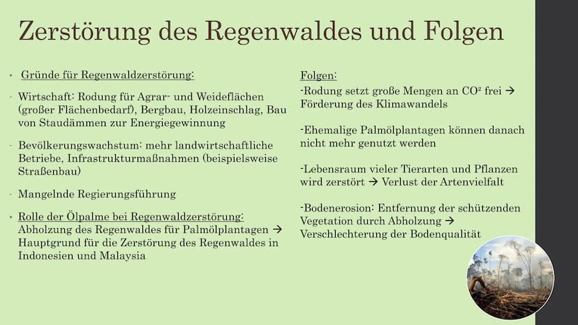 Ölpalmenanbau Indonesien -
Übernutzung des tropischen Regenwaldes ●
●
●
Entwicklung der Palmölproduktion
1975-2013: Globale Produktion von P