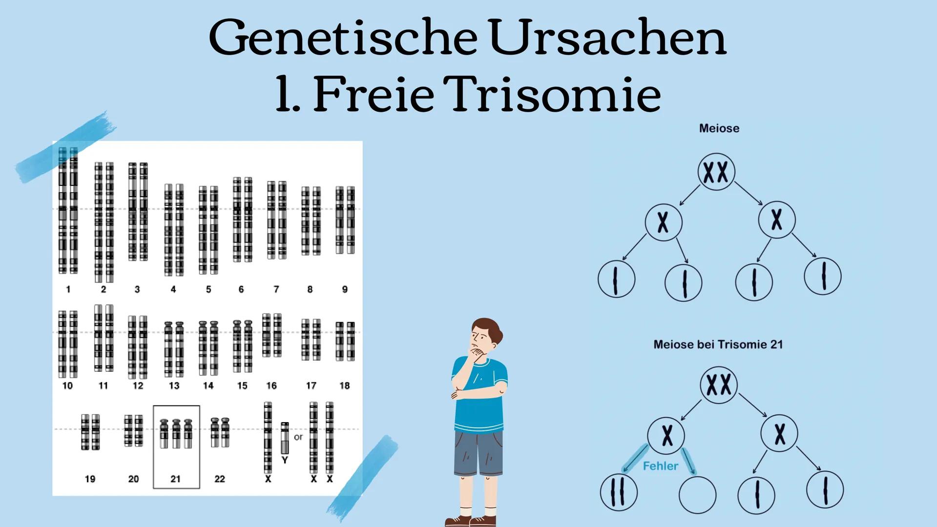# Trisomie 21

Präsentation zum Thema Down-
Syndrom # Gliederung

1. Beschreibung Trisomie 21
2. Genetische Ursachen
3. Risikofaktoren
4. vo