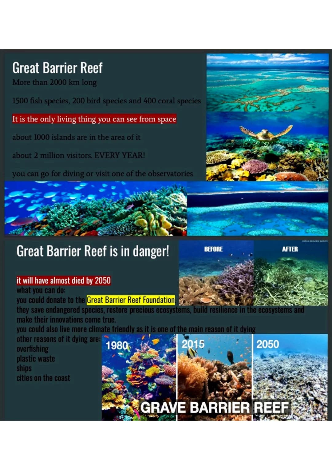 Great Barrier Reef
More than 2000 km long
1500 fish species, 200 bird species and 400 coral species
It is the only living thing you can see 