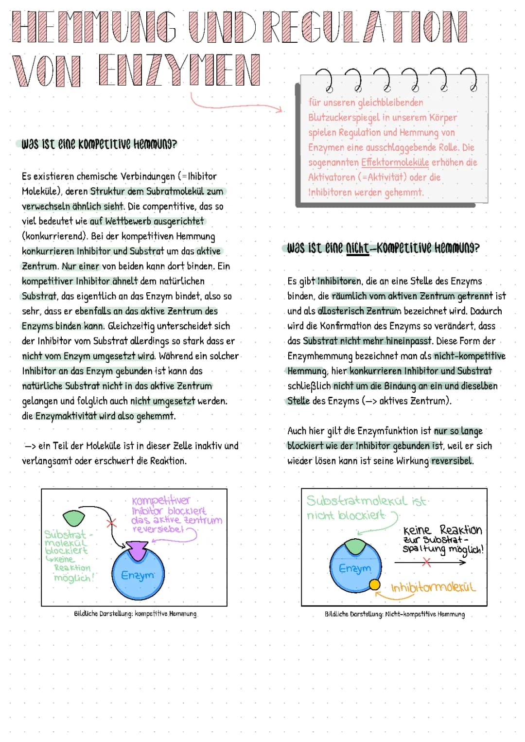 Hemmung und Regulation von Enzymen 
