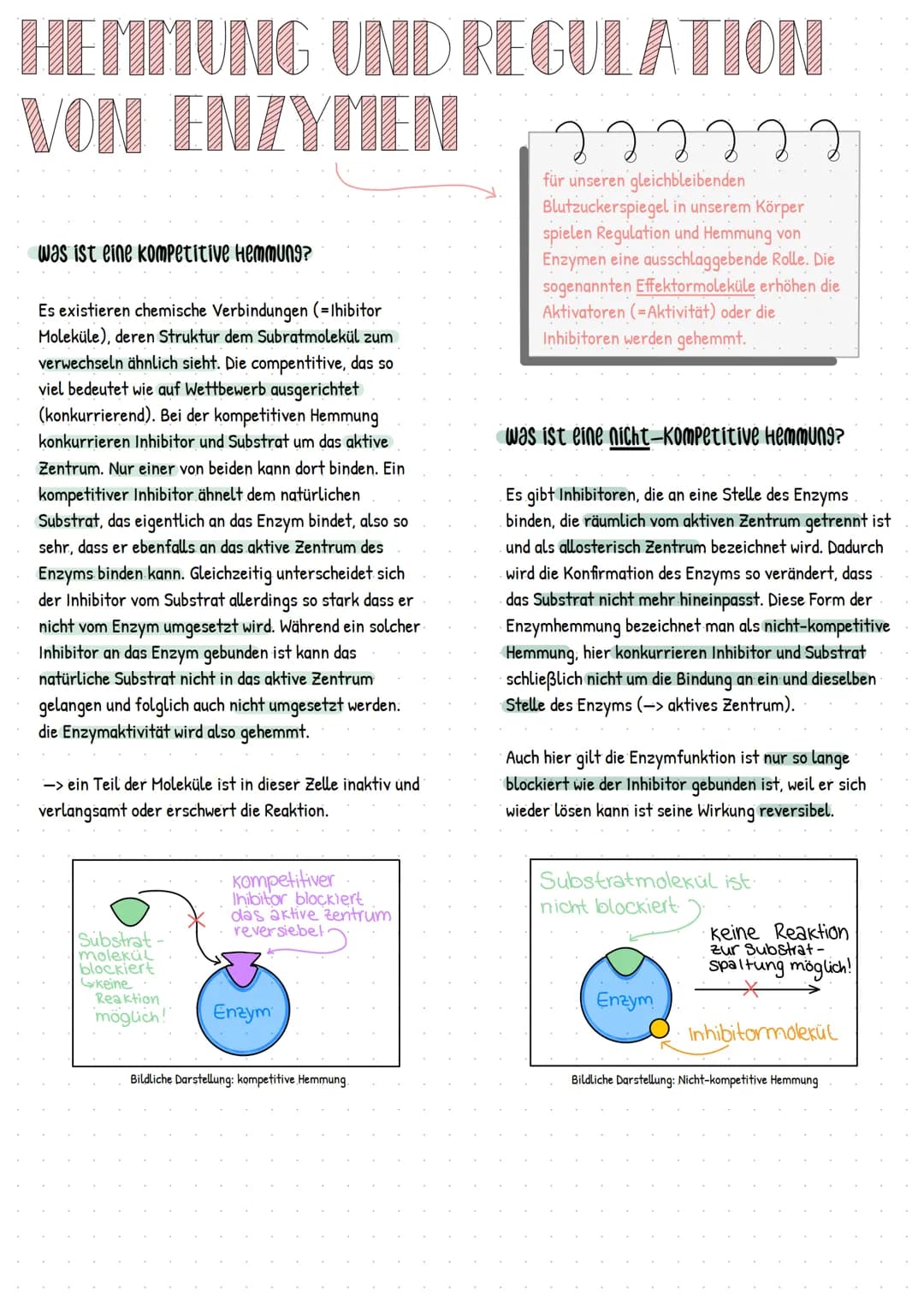 HEMMUNG UND REGULATION
VON ENZYMEN
Was ist eine kompetitive Hemmung?
Es existieren chemische Verbindungen (=Ihibitor
Moleküle), deren Strukt
