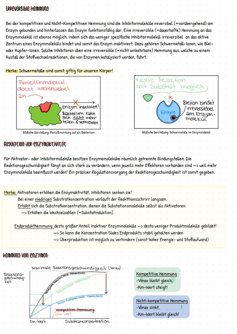 HEMMUNG UND REGULATION
VON ENZYMEN
Was ist eine kompetitive Hemmung?
Es existieren chemische Verbindungen (=Ihibitor
Moleküle), deren Strukt