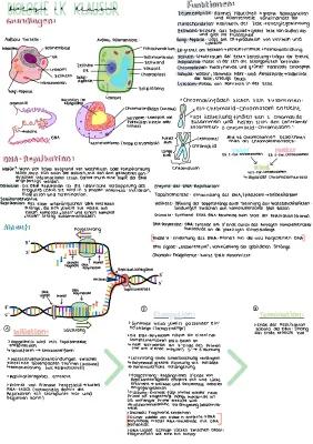 Know DNA Grundlagen + Genetik LK thumbnail