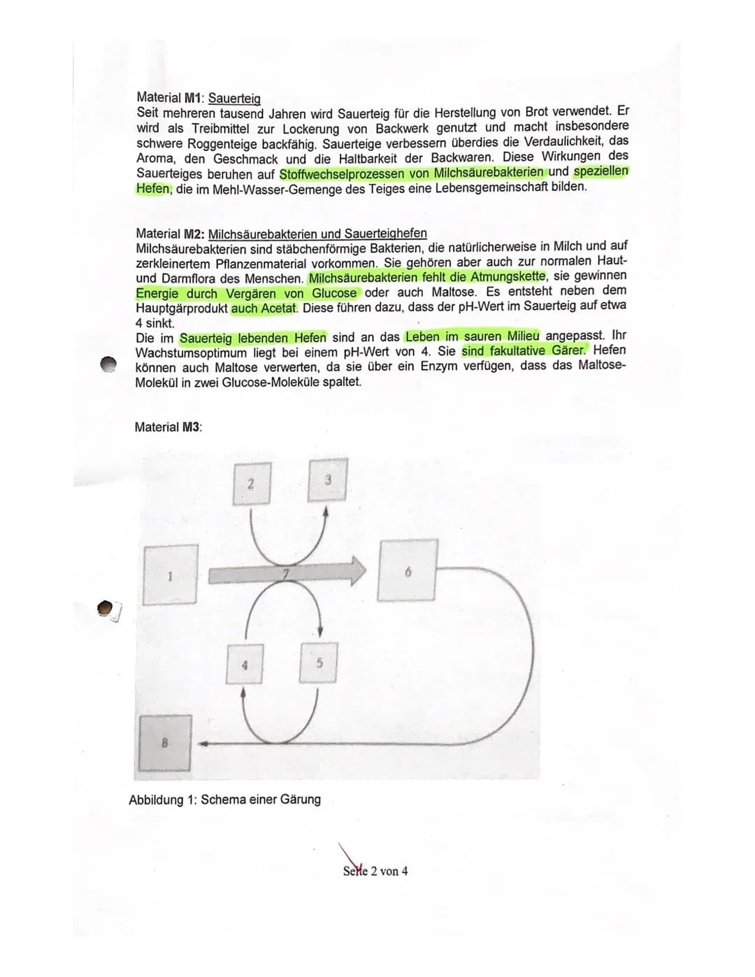 2. Kursarbeit Biologie
Nachname:
Vorname
Viel Erfolg!!!
Stoffwechsel
4521522
731.4
5 1.5
Zellatmung und Gärung
1.1
Skizzieren Sie die Prozes