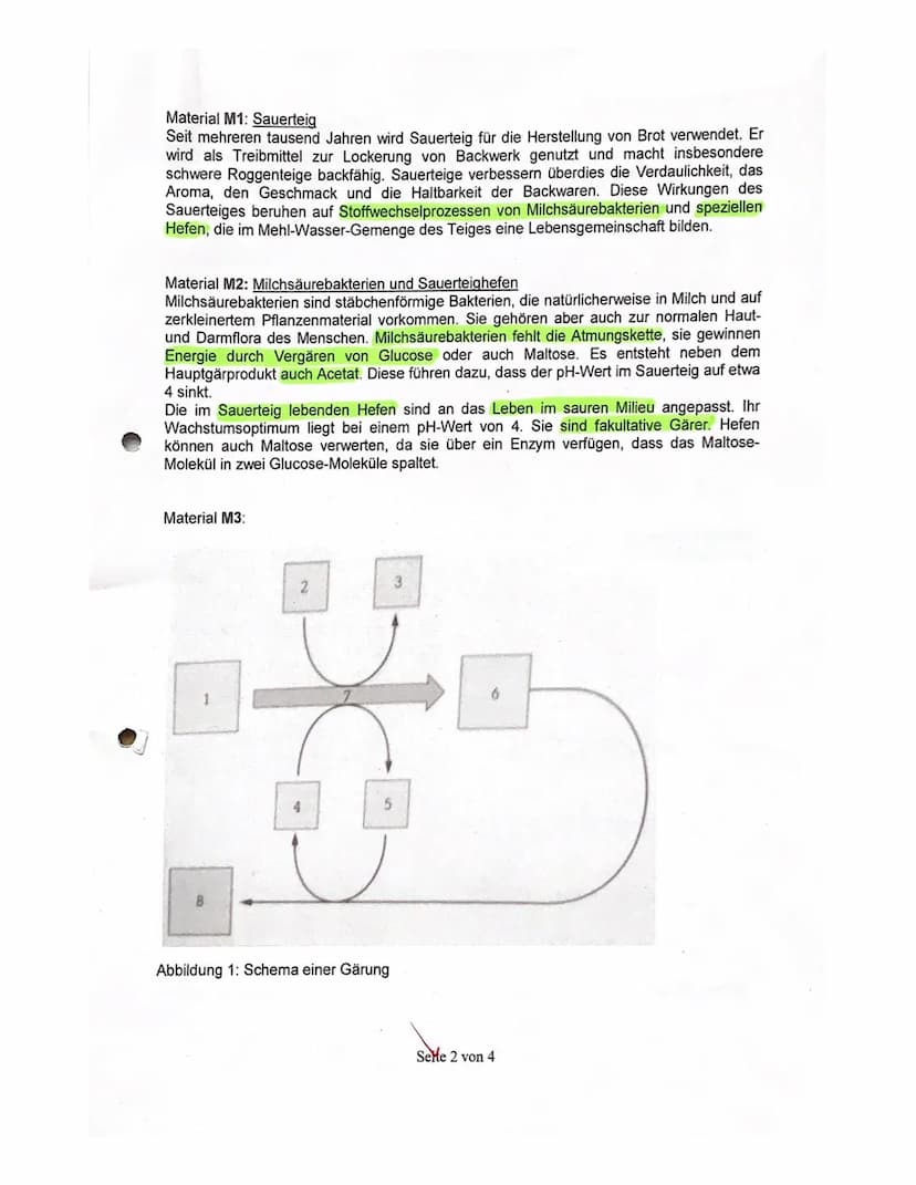 2. Kursarbeit Biologie
Nachname:
Vorname
Viel Erfolg!!!
Stoffwechsel
4521522
731.4
5 1.5
Zellatmung und Gärung
1.1
Skizzieren Sie die Prozes