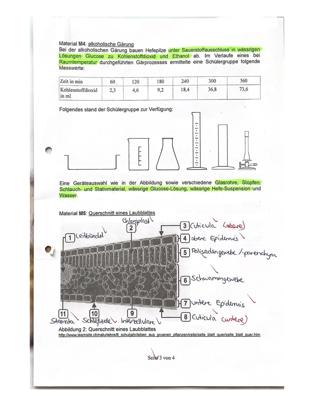2. Kursarbeit Biologie
Nachname:
Vorname
Viel Erfolg!!!
Stoffwechsel
4521522
731.4
5 1.5
Zellatmung und Gärung
1.1
Skizzieren Sie die Prozes