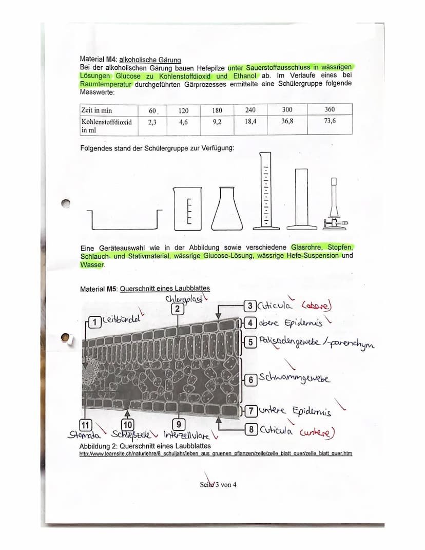 2. Kursarbeit Biologie
Nachname:
Vorname
Viel Erfolg!!!
Stoffwechsel
4521522
731.4
5 1.5
Zellatmung und Gärung
1.1
Skizzieren Sie die Prozes