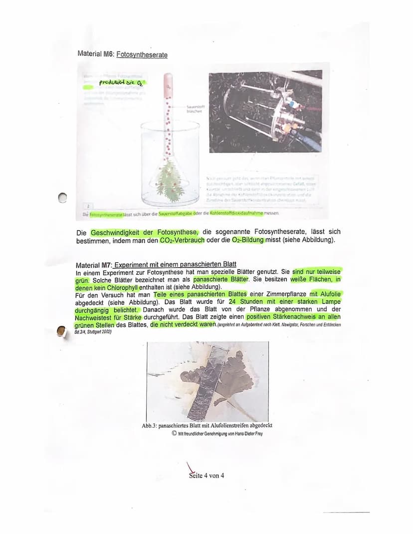 2. Kursarbeit Biologie
Nachname:
Vorname
Viel Erfolg!!!
Stoffwechsel
4521522
731.4
5 1.5
Zellatmung und Gärung
1.1
Skizzieren Sie die Prozes