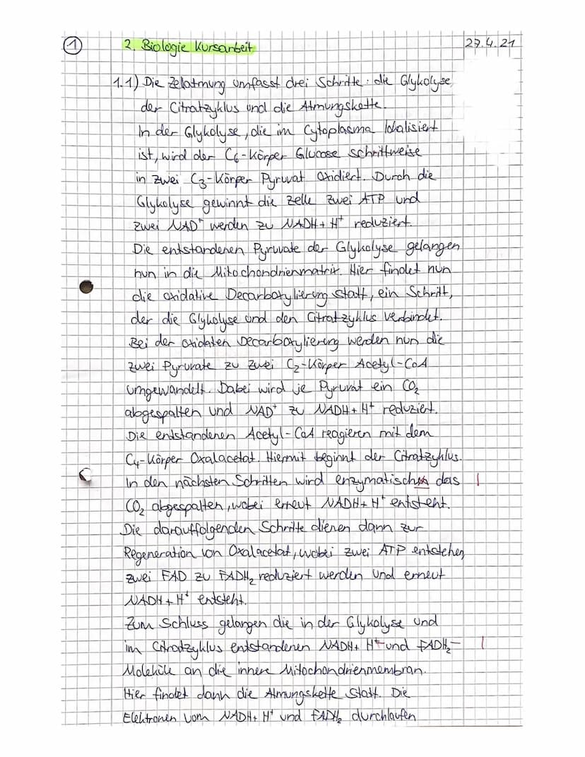 2. Kursarbeit Biologie
Nachname:
Vorname
Viel Erfolg!!!
Stoffwechsel
4521522
731.4
5 1.5
Zellatmung und Gärung
1.1
Skizzieren Sie die Prozes