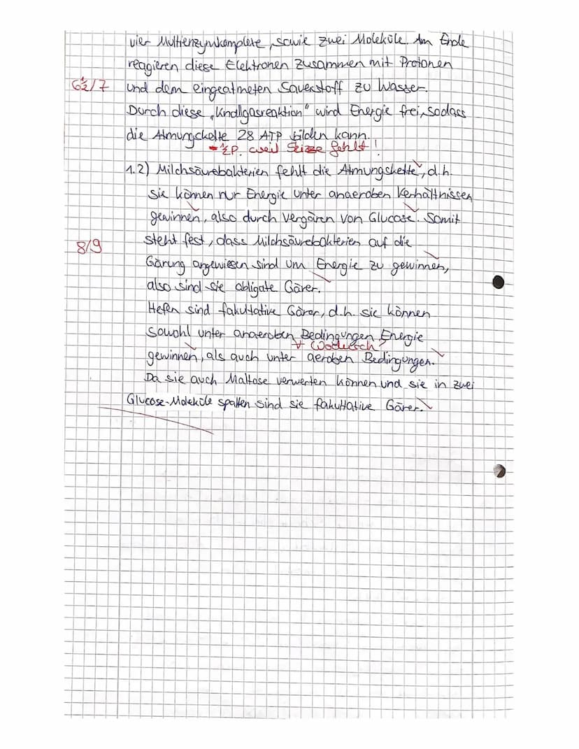 2. Kursarbeit Biologie
Nachname:
Vorname
Viel Erfolg!!!
Stoffwechsel
4521522
731.4
5 1.5
Zellatmung und Gärung
1.1
Skizzieren Sie die Prozes