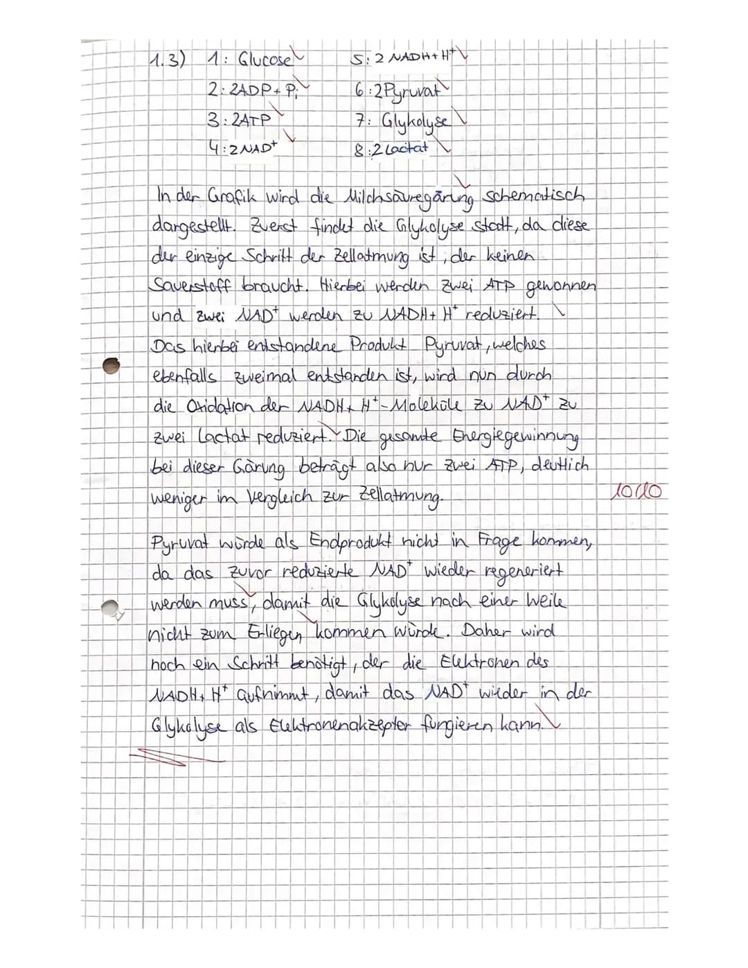 2. Kursarbeit Biologie
Nachname:
Vorname
Viel Erfolg!!!
Stoffwechsel
4521522
731.4
5 1.5
Zellatmung und Gärung
1.1
Skizzieren Sie die Prozes