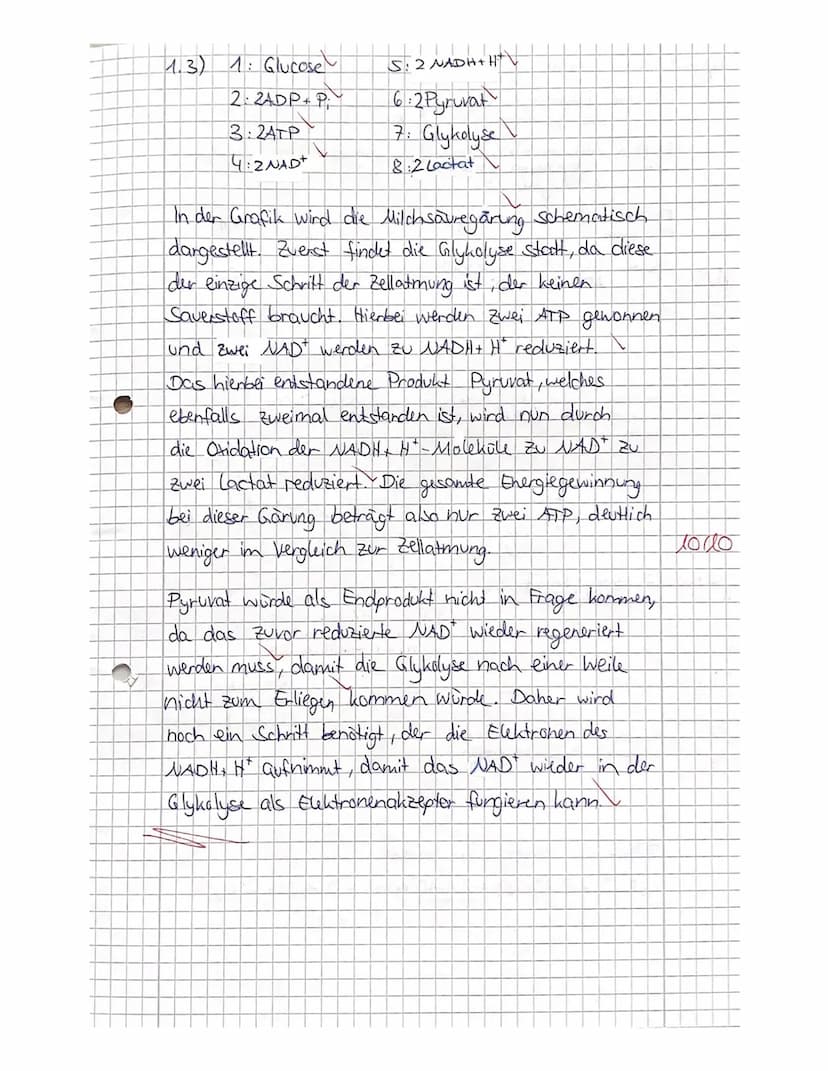 2. Kursarbeit Biologie
Nachname:
Vorname
Viel Erfolg!!!
Stoffwechsel
4521522
731.4
5 1.5
Zellatmung und Gärung
1.1
Skizzieren Sie die Prozes