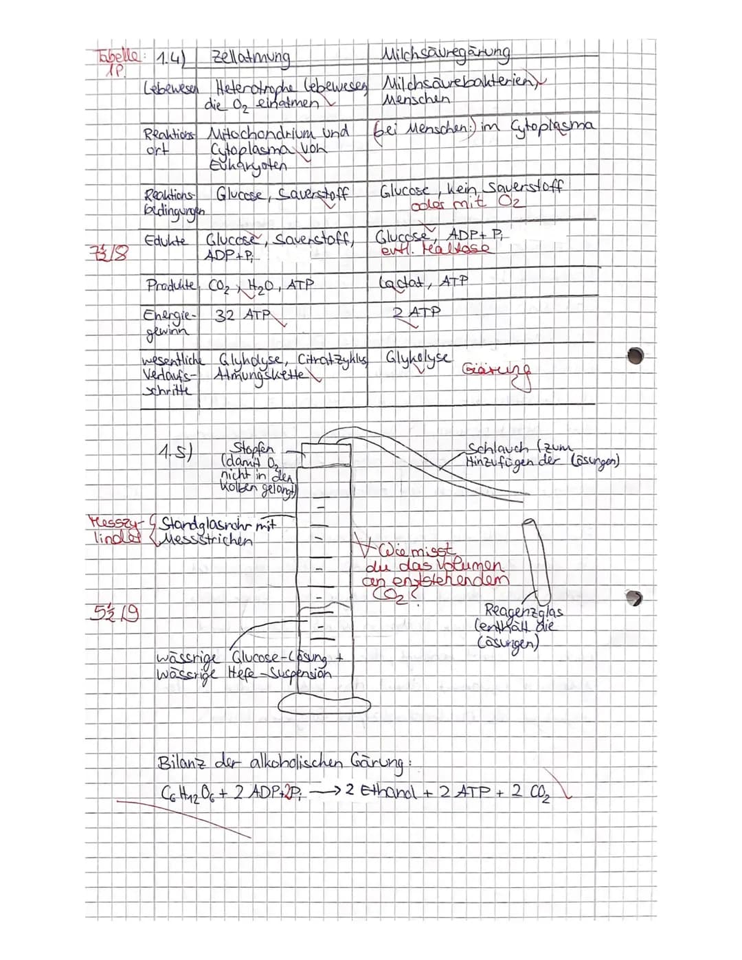 2. Kursarbeit Biologie
Nachname:
Vorname
Viel Erfolg!!!
Stoffwechsel
4521522
731.4
5 1.5
Zellatmung und Gärung
1.1
Skizzieren Sie die Prozes