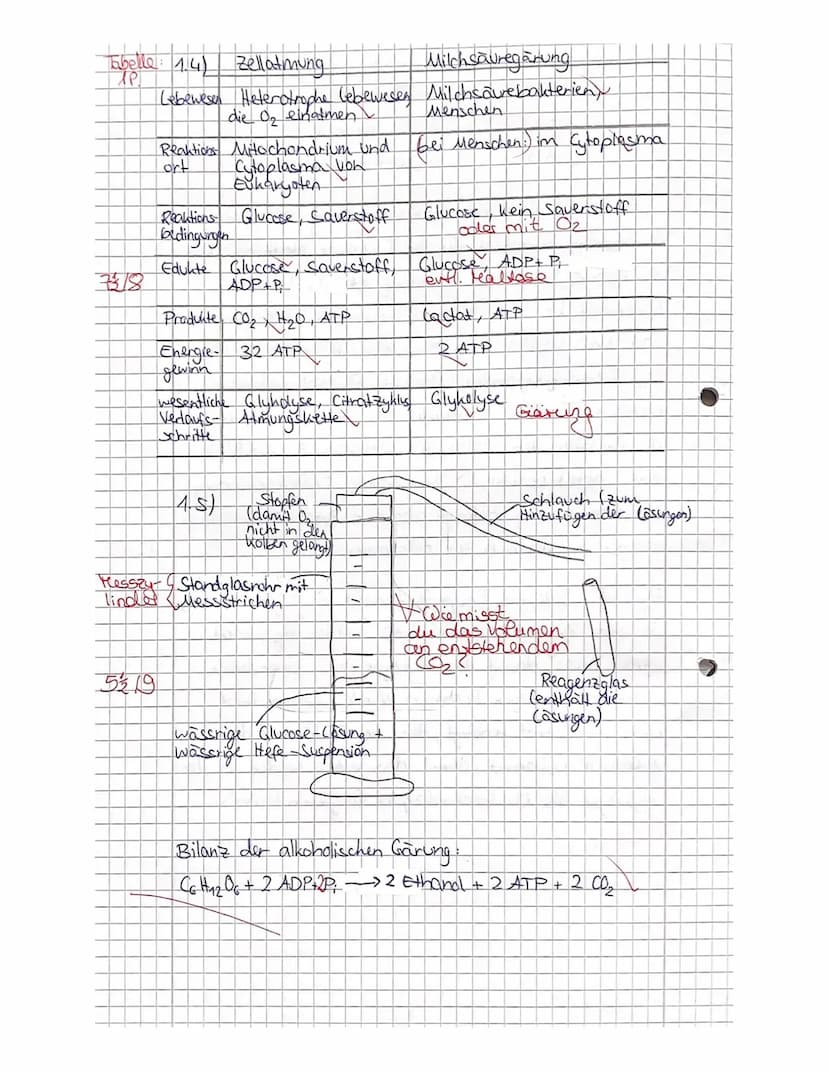 2. Kursarbeit Biologie
Nachname:
Vorname
Viel Erfolg!!!
Stoffwechsel
4521522
731.4
5 1.5
Zellatmung und Gärung
1.1
Skizzieren Sie die Prozes