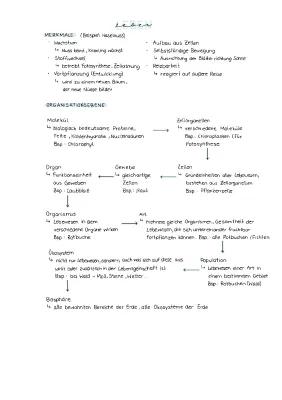 Know Biologie Lernzettel thumbnail