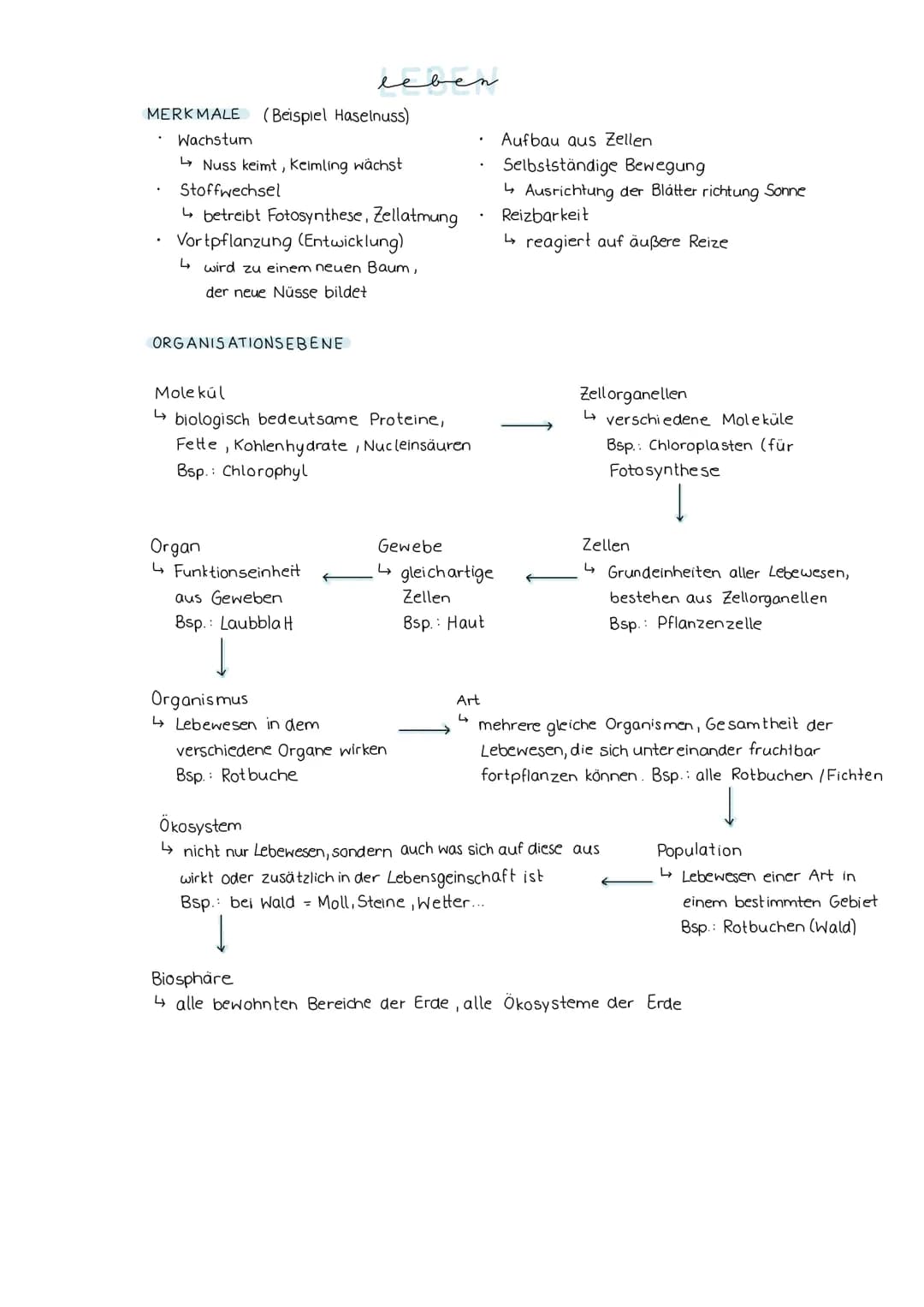 Lösung AB Osmose"
hypertonische Umgebung
(konzentrierter als innen)
außen
Durch den Wasserverlust
schrumpft der Zellkörper; die
Zellmembran 