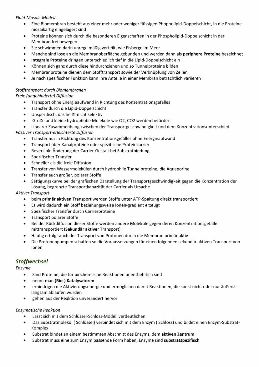 Bau- und Inhaltsstoffe der Zelle
Proteine
Funktion
Katalyse chemischer Reaktionen
Bewegung (z. B. Aktin- und Myosinfilamente im Muskel)
Gerü