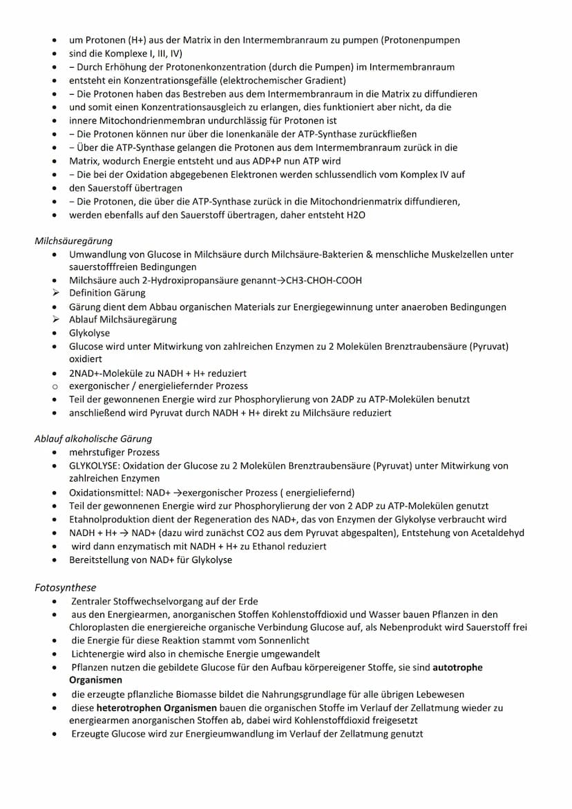 Bau- und Inhaltsstoffe der Zelle
Proteine
Funktion
Katalyse chemischer Reaktionen
Bewegung (z. B. Aktin- und Myosinfilamente im Muskel)
Gerü
