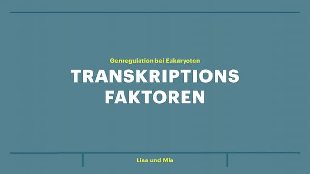 Know Transkriptionsfaktoren  thumbnail