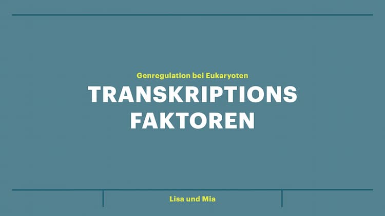 Know Transkriptionsfaktoren  thumbnail