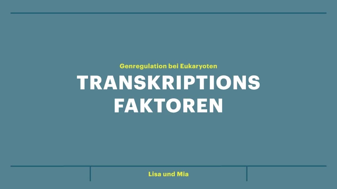 Transkriptionsfaktoren 