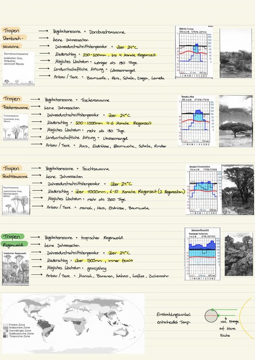 Wimazonen
Polare zone
Eiswüste, Tundra
Elswüste: vegetationslos
Tundra: Gräser,
Krautpflanzen,
Zwergsträucher
Subpolare Zone.
nördlicher (bo